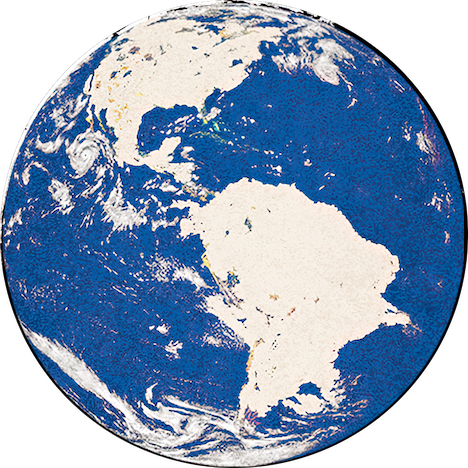 Vector image of a globe