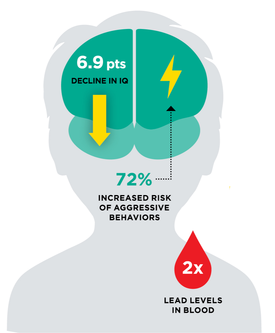 infographic detailing the effects of lead exposure on children