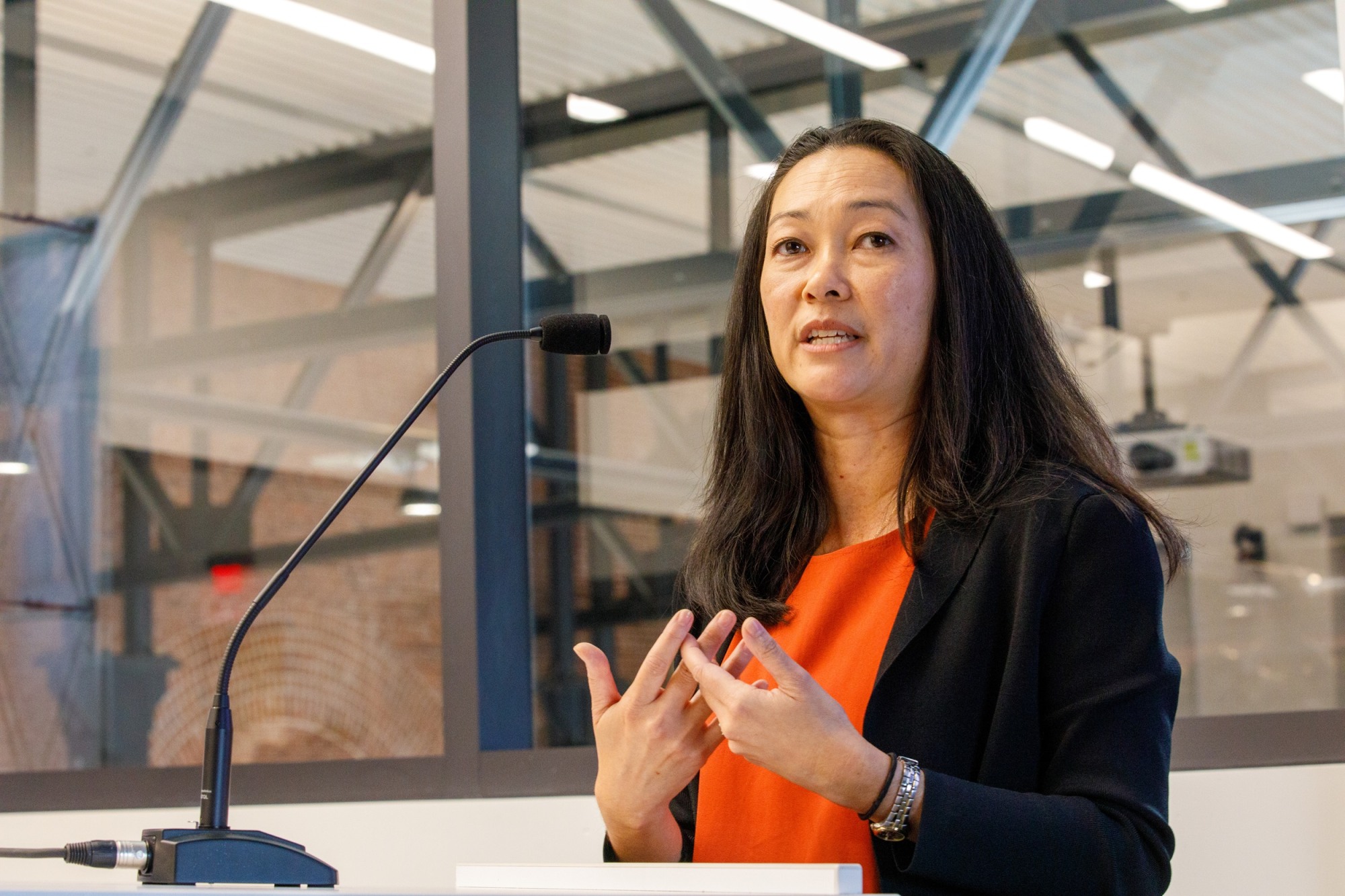 Professor Erin Fuse Brown speaks at a microphone