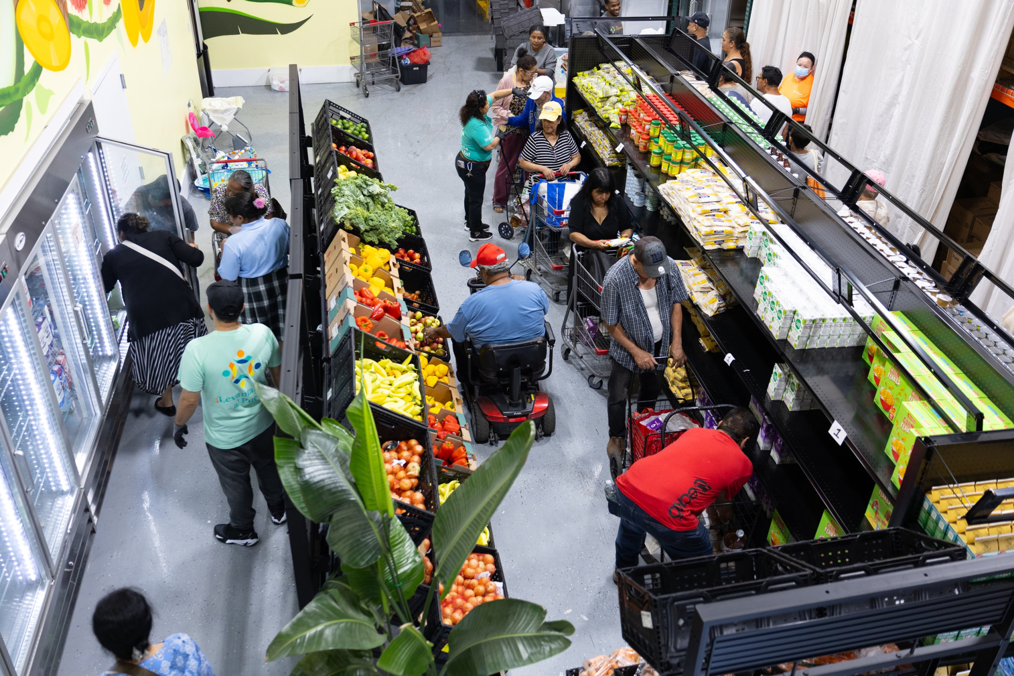 people shop a produce market