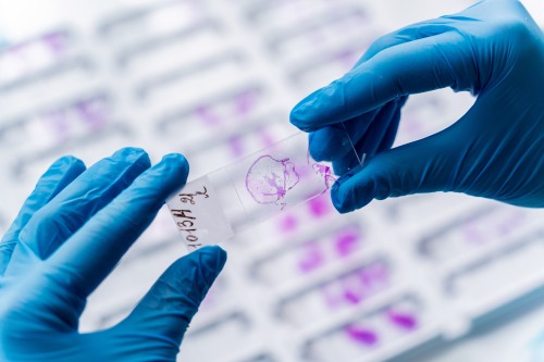 hands hold tissue sample in lab