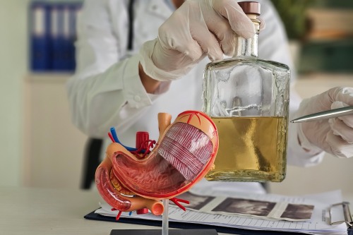 doctor indicating toward a bottle of alcohol next to a model of a liver