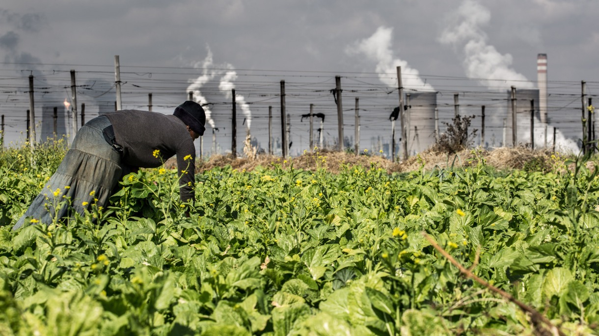 farmer works land with factory in background