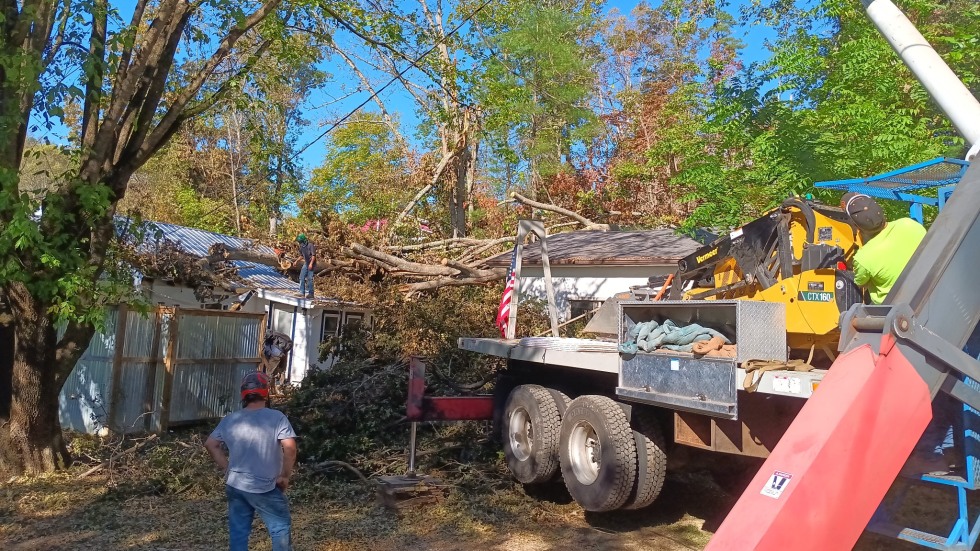 Crew of workers clean up fallen trees after a storm