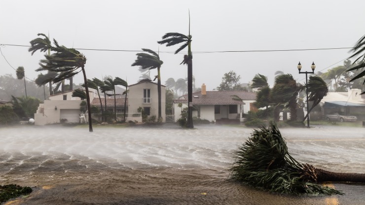 hurricane