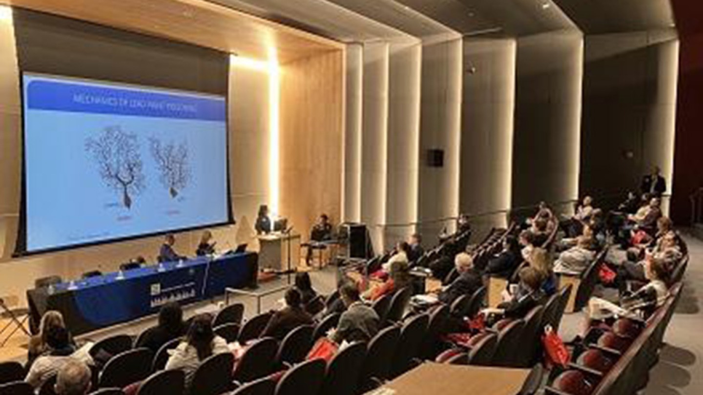 Summit explores pathways to end childhood lead poisoning in Rhode